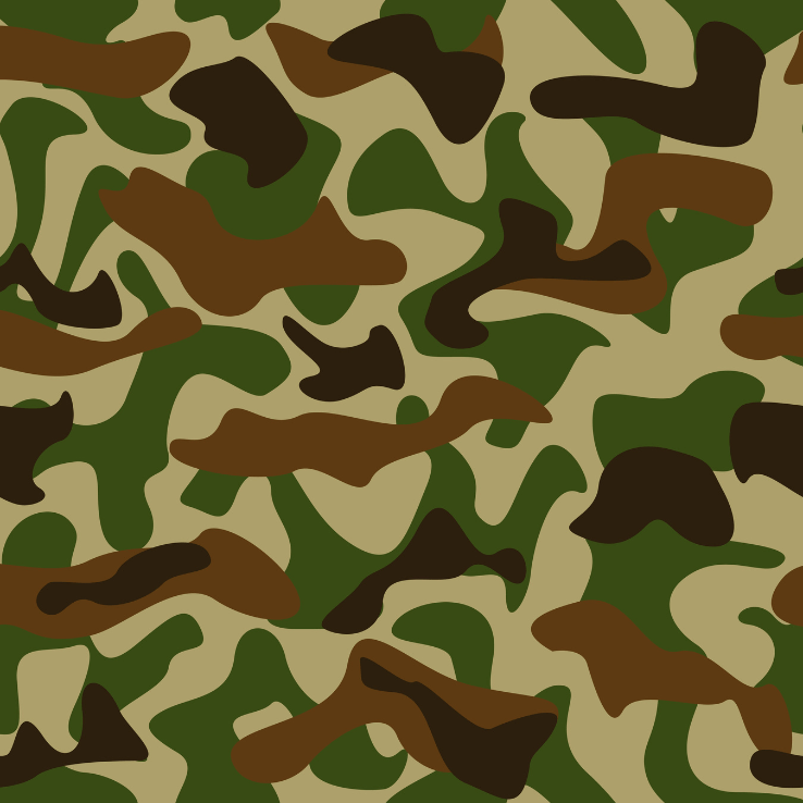 Camo Stealth
